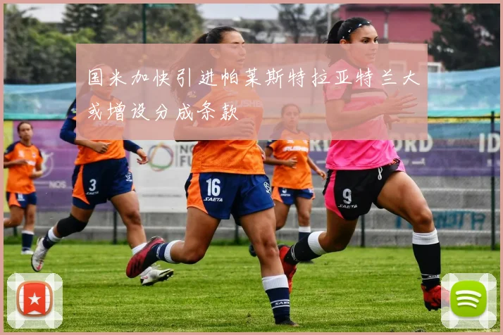 国米加快引进帕莱斯特拉亚特兰大或增设分成条款