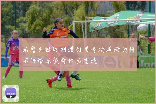 老詹关键时刻遭封盖夸梅质疑为何不传给东契奇作为首选